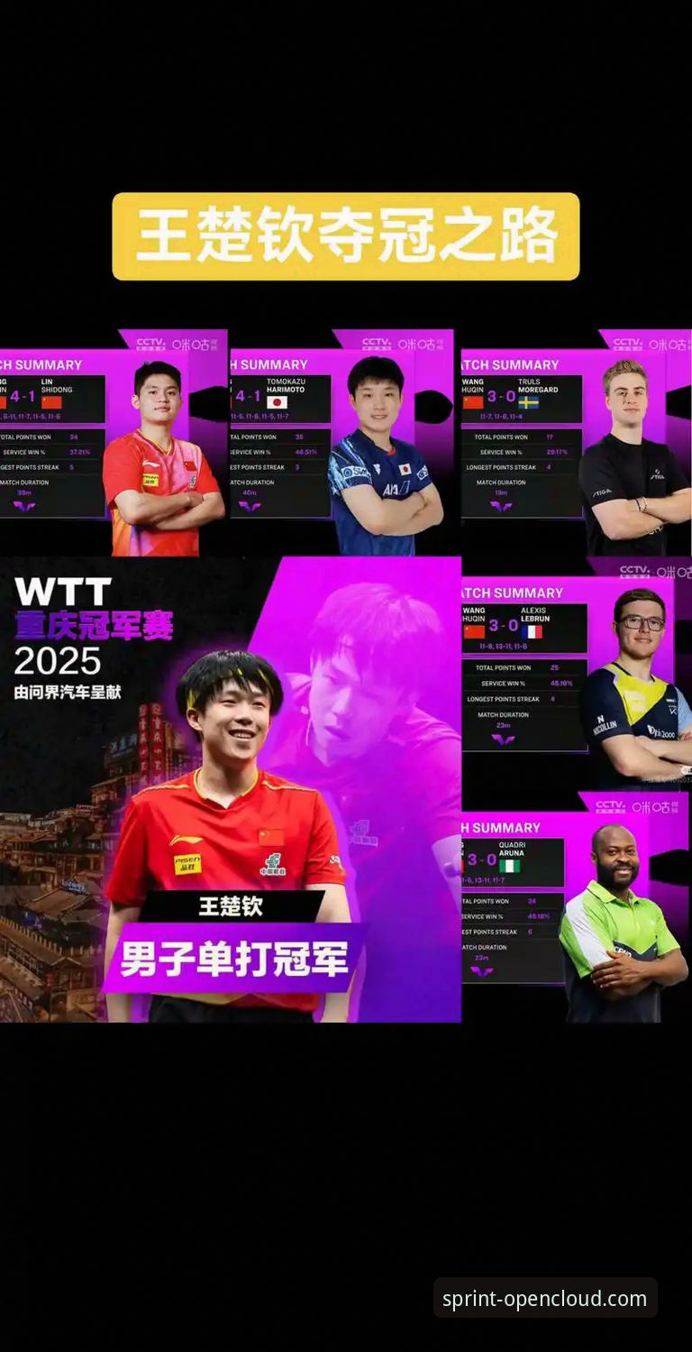 开云app体验如何 WTT重庆冠军赛男单决赛深度解析