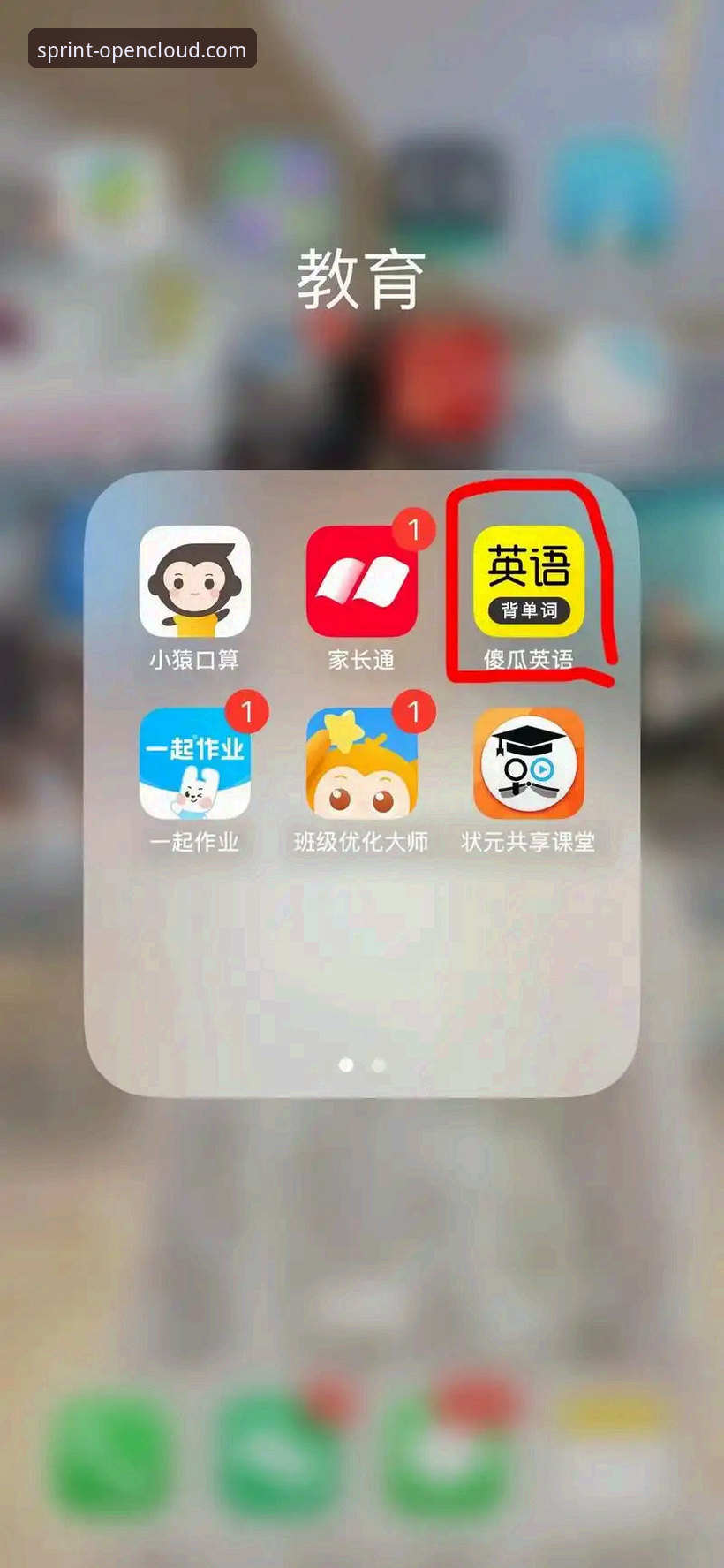 开云app与网页版对比：哪个更适合您的娱乐需求？